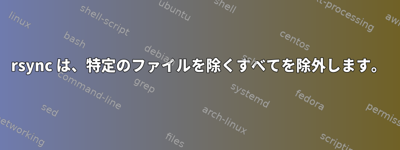 rsync は、特定のファイルを除くすべてを除外します。