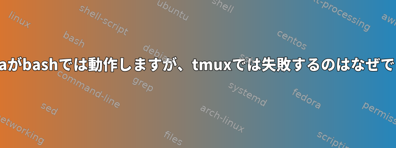 Condaがbashでは動作しますが、tmuxでは失敗するのはなぜですか?