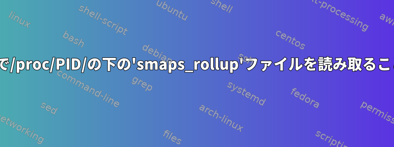 'その他'は-r--r--r--権限で/proc/PID/の下の'smaps_rollup'ファイルを読み取ることができません。なぜ？