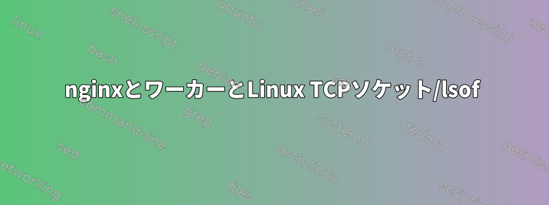 nginxとワーカーとLinux TCPソケット/lsof