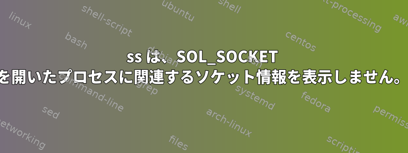 ss は、SOL_SOCKET を開いたプロセスに関連するソケット情報を表示しません。