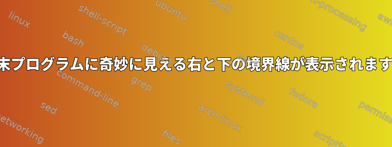 端末プログラムに奇妙に見える右と下の境界線が表示されます。