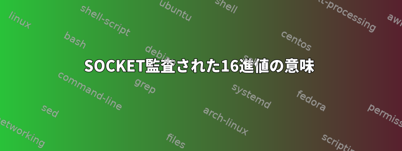 SOCKET監査された16進値の意味