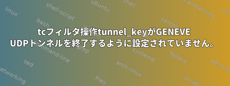 tcフィルタ操作tunnel_keyがGENEVE UDPトンネルを終了するように設定されていません。