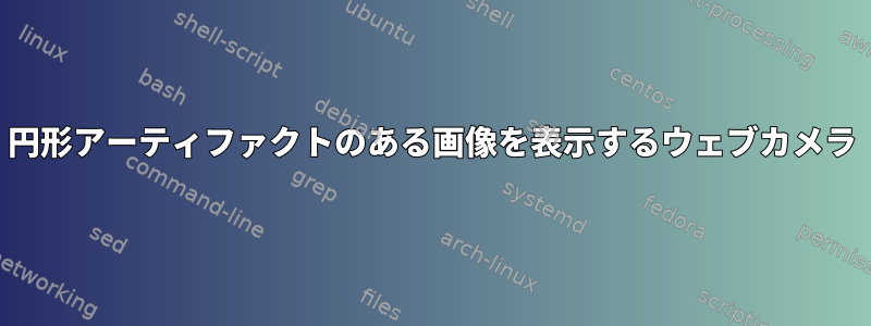 円形アーティファクトのある画像を表示するウェブカメラ