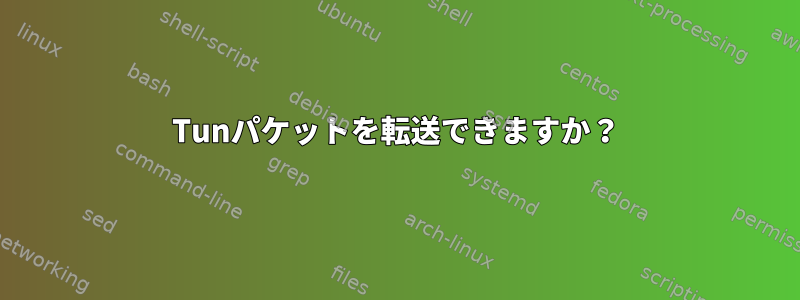 Tunパケットを転送できますか？