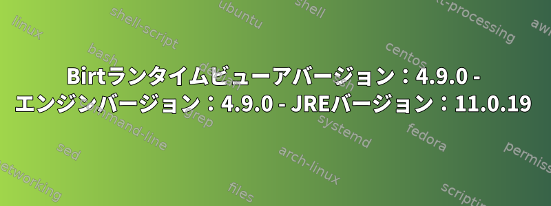 Birtランタイムビューアバージョン：4.9.0 - エンジンバージョン：4.9.0 - JREバージョン：11.0.19