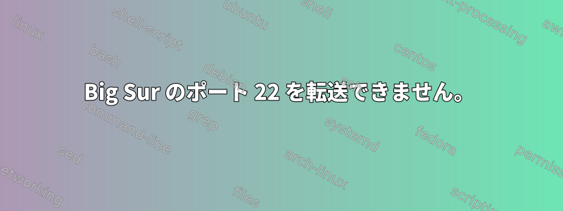 Big Sur のポート 22 を転送できません。