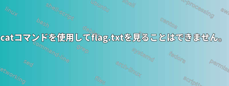 catコマンドを使用してflag.txtを見ることはできません。