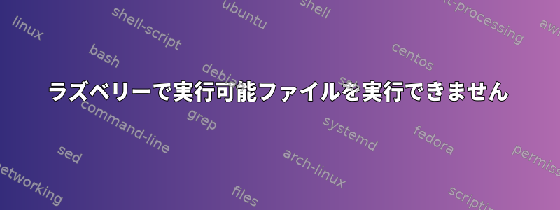 ラズベリーで実行可能ファイルを実行できません