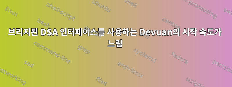 브리지된 DSA 인터페이스를 사용하는 Devuan의 시작 속도가 느림