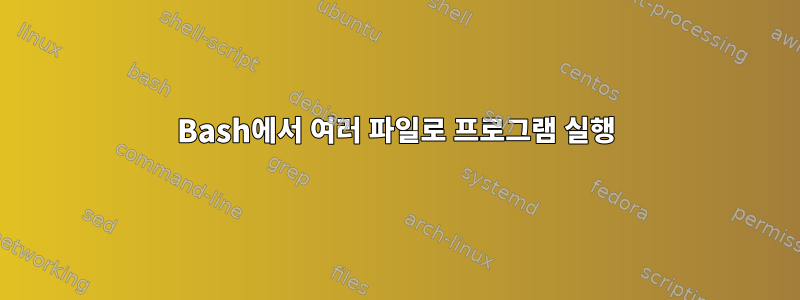 Bash에서 여러 파일로 프로그램 실행