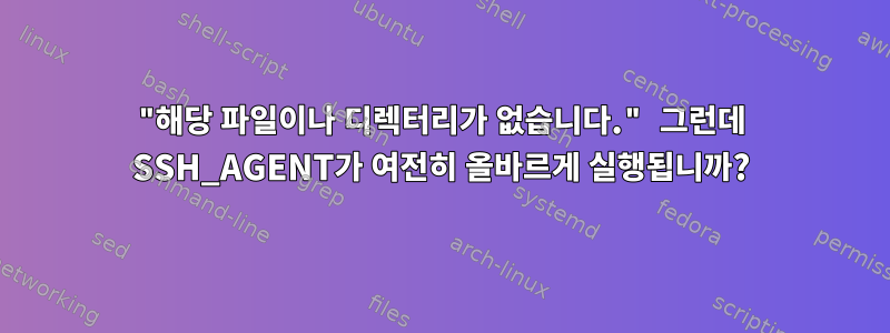 "해당 파일이나 디렉터리가 없습니다." 그런데 SSH_AGENT가 여전히 올바르게 실행됩니까?