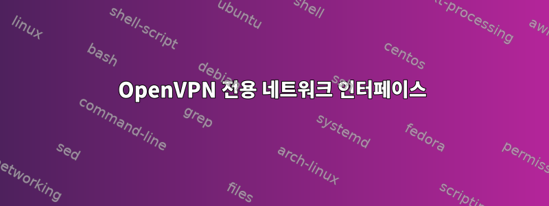 OpenVPN 전용 네트워크 인터페이스