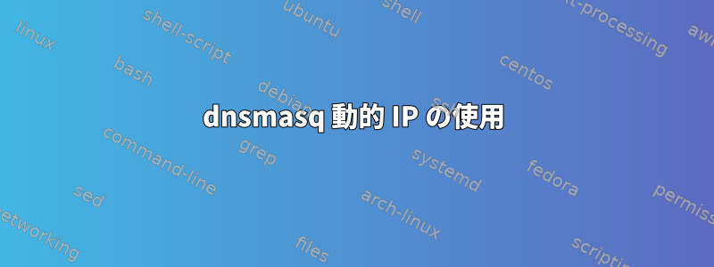 dnsmasq 動的 IP の使用