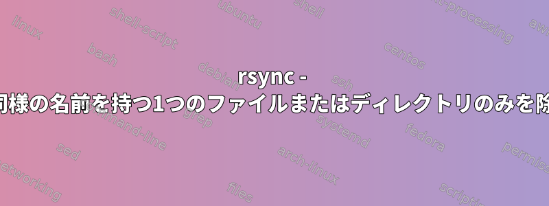 rsync - 他の名前と同様の名前を持つ1つのファイルまたはディレクトリのみを除外します。