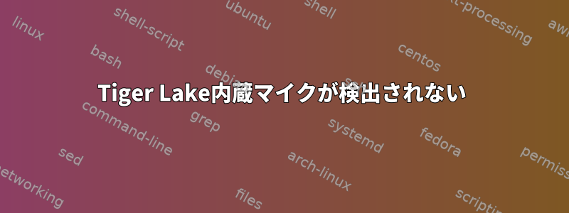 Tiger Lake内蔵マイクが検出されない