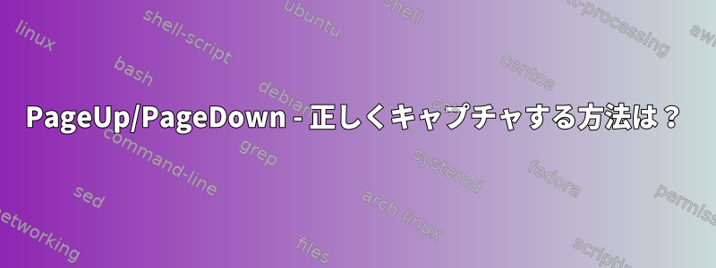 PageUp/PageDown - 正しくキャプチャする方法は？