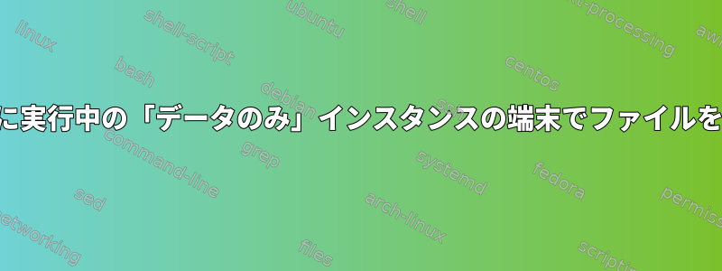 すでに実行中の「データのみ」インスタンスの端末でファイルを開く