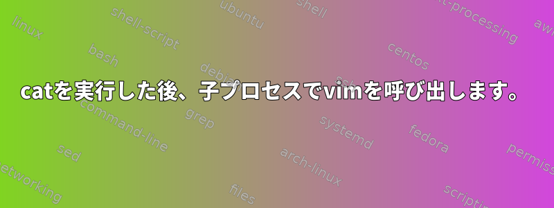 catを実行した後、子プロセスでvimを呼び出します。