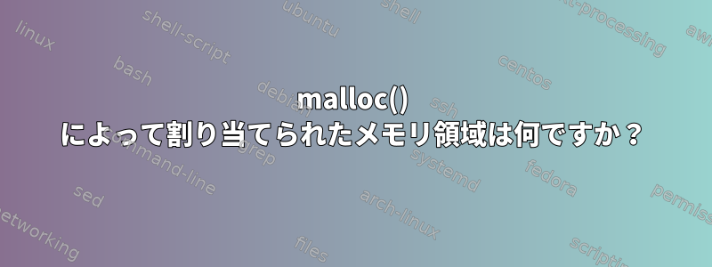 malloc() によって割り当てられたメモリ領域は何ですか？