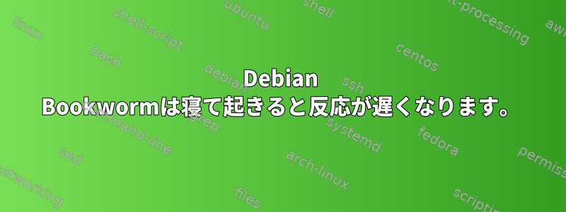 Debian Bookwormは寝て起きると反応が遅くなります。