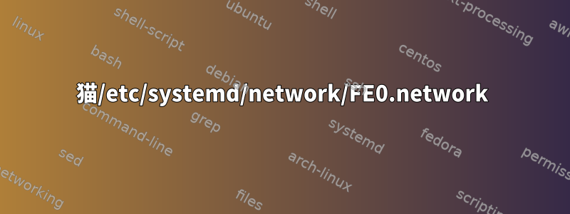 猫/etc/systemd/network/FE0.network