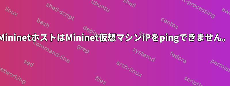 MininetホストはMininet仮想マシンIPをpingできません。