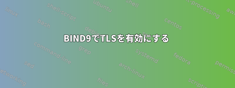 BIND9でTLSを有効にする