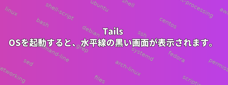 Tails OSを起動すると、水平線の黒い画面が表示されます。