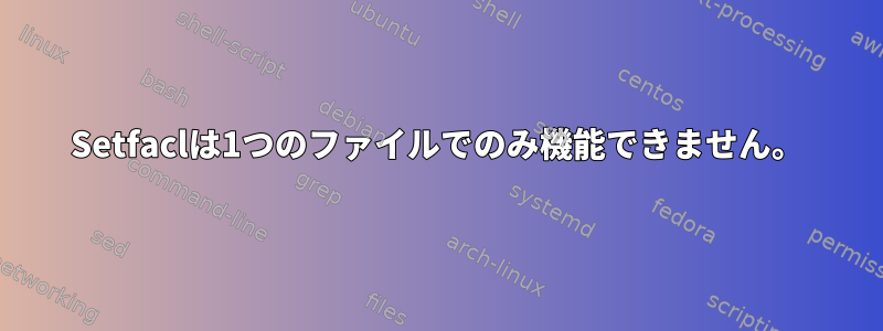 Setfaclは1つのファイルでのみ機能できません。