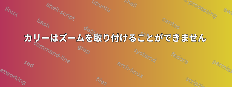 カリーはズームを取り付けることができません