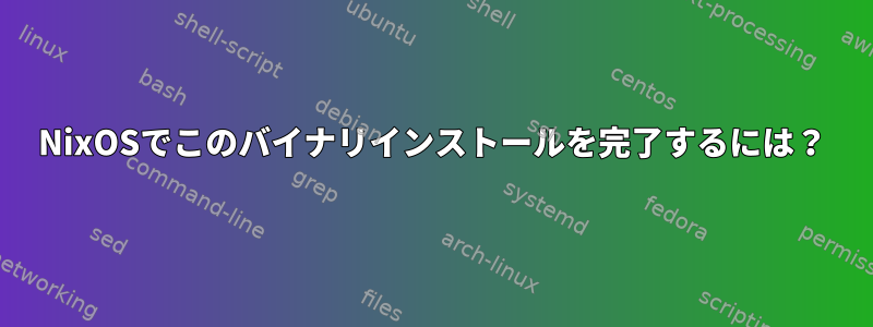 NixOSでこのバイナリインストールを完了するには？