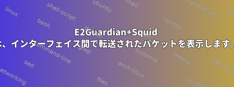 E2Guardian+Squid は、インターフェイス間で転送されたパケットを表示します。