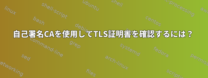 自己署名CAを使用してTLS証明書を確認するには？