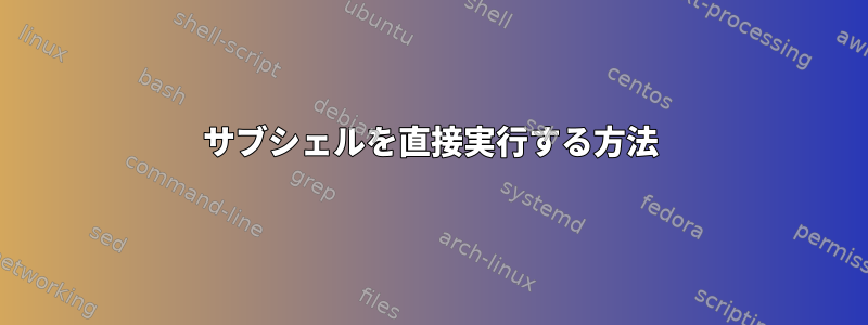 サブシェルを直接実行する方法