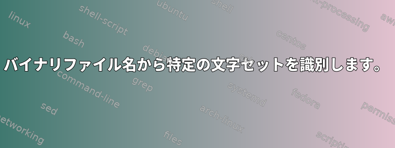 バイナリファイル名から特定の文字セットを識別します。