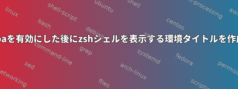 micromambaを有効にした後にzshシェルを表示する環境タイトルを作成するには？