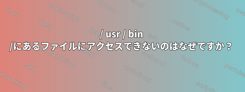 / usr / bin /にあるファイルにアクセスできないのはなぜですか？