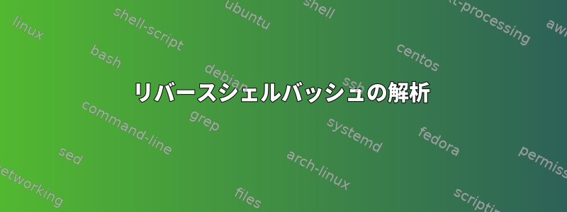 リバースシェルバッシュの解析