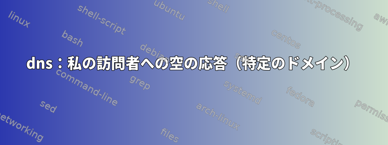 dns：私の訪問者への空の応答（特定のドメイン）