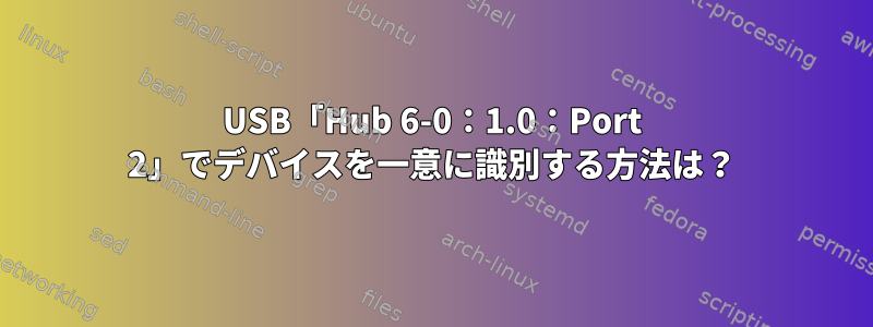 USB「Hub 6-0：1.0：Port 2」でデバイスを一意に識別する方法は？