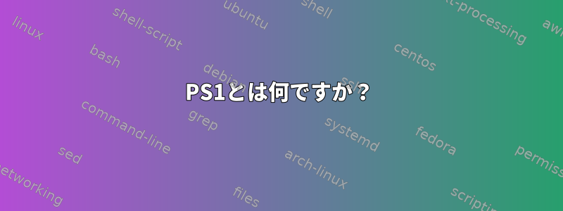 PS1とは何ですか？