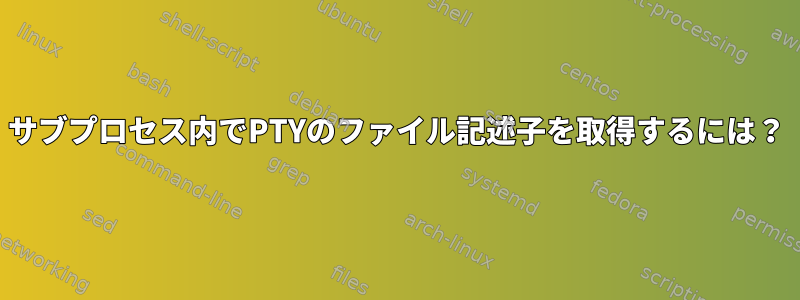 サブプロセス内でPTYのファイル記述子を取得するには？