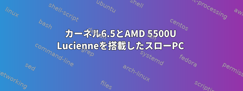 カーネル6.5とAMD 5500U Lucienneを搭載したスローPC