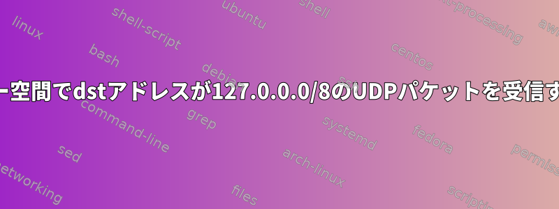 ユーザー空間でdstアドレスが127.0.0.0/8のUDPパケットを受信する方法