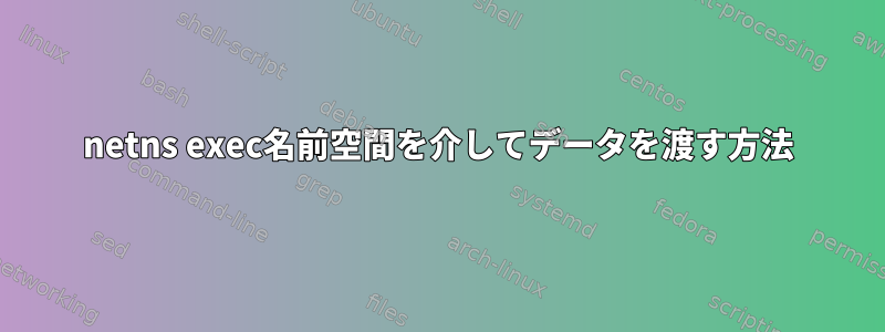 netns exec名前空間を介してデータを渡す方法