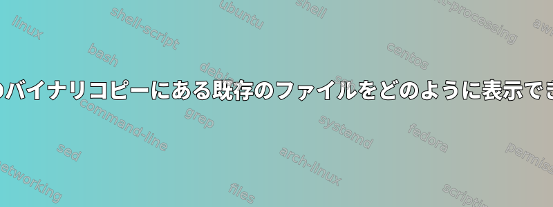 ドライブのバイナリコピーにある既存のファイルをどのように表示できますか？