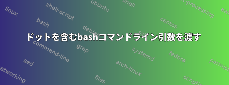 ドットを含むbashコマンドライン引数を渡す