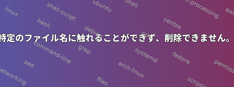 特定のファイル名に触れることができず、削除できません。